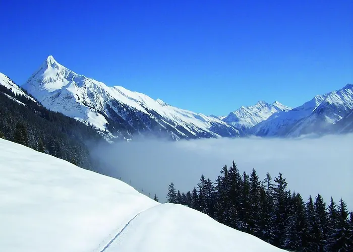 דירה Gaestehaus Vier Jahreszeiten *